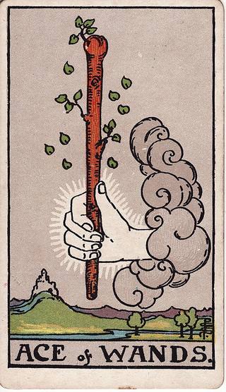 완드 에이스 tarot card