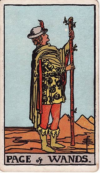 완드 페이지 tarot card