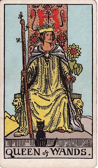 완드 퀸 tarot card