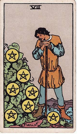 펜타클 7 tarot card