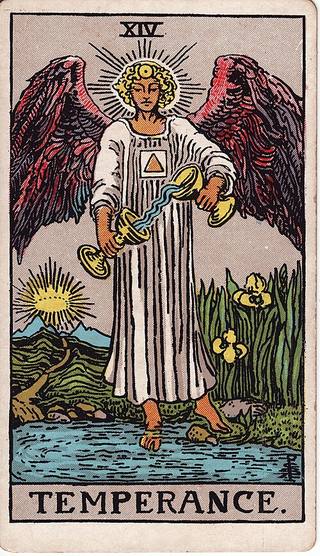 절제 tarot card